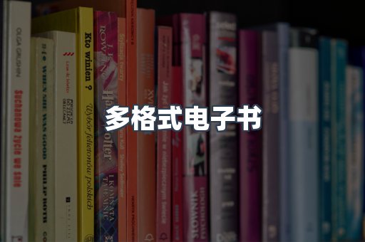 海外电子书